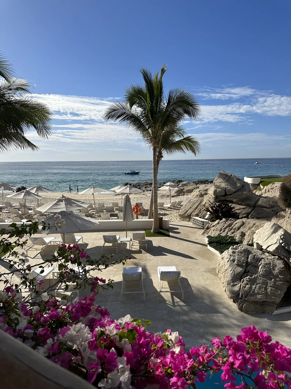 Palm trees and lounge chairs overlooking the ocean.